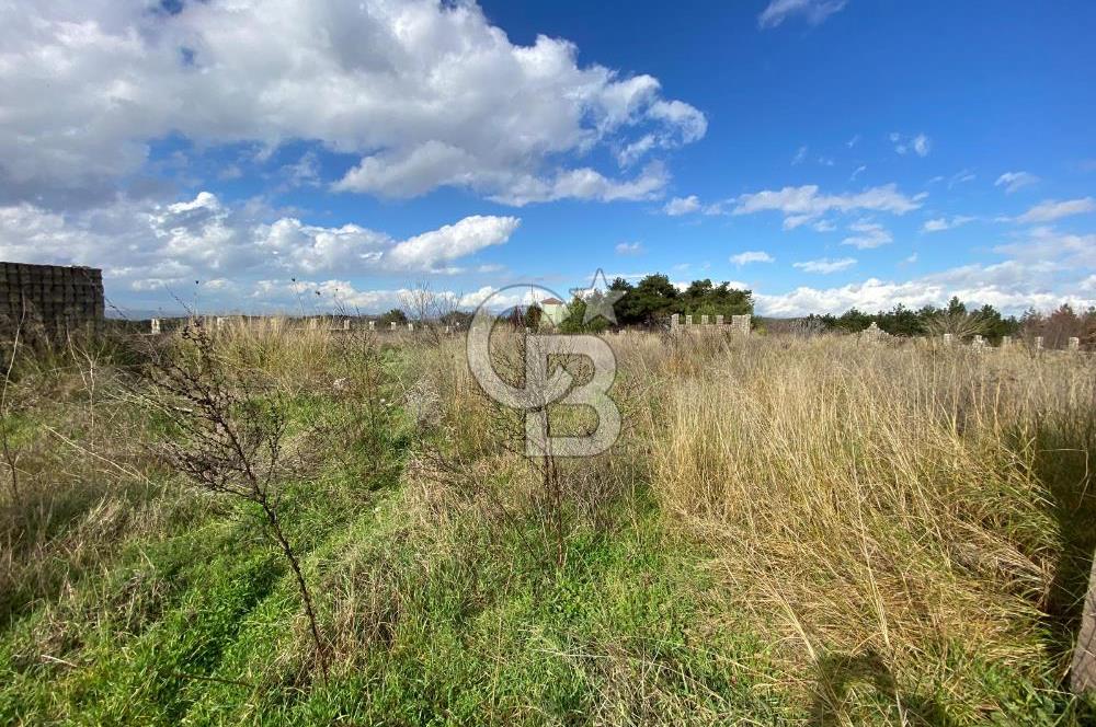 BUCA KAYNAKLAR ZAFER mah. KİRALIK ARAZİ ve 4+1 DUBLEKS BAĞ EVİ