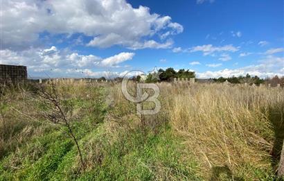 BUCA KAYNAKLAR ZAFER mah. KİRALIK ARAZİ ve 4+1 DUBLEKS BAĞ EVİ