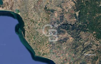 CB KİNG'DEN AYVALIK/ALTINOVA MAHALLESİ SATILIK TARLA/ZEYTİNLİK