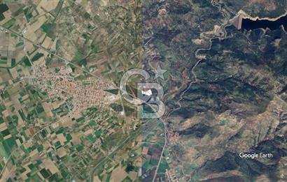 CB KİNG'DEN AYVALIK/ALTINOVA MAHALLESİ SATILIK TARLA/ZEYTİNLİK