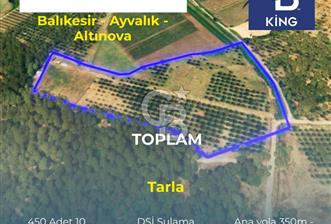 CB KİNG'DEN AYVALIK/ALTINOVA MAHALLESİ SATILIK TARLA/ZEYTİNLİK - 7 - 332117