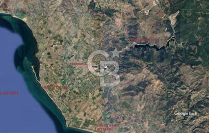 CB KİNG'DEN AYVALIK/ALTINOVA MAHALLESİ SATILIK TARLA/ZEYTİNLİK