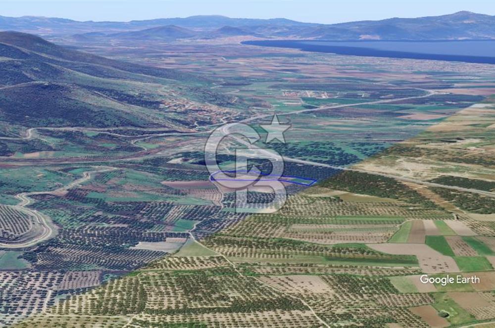 CB KİNG'DEN AYVALIK/ALTINOVA MAHALLESİ SATILIK TARLA/ZEYTİNLİK