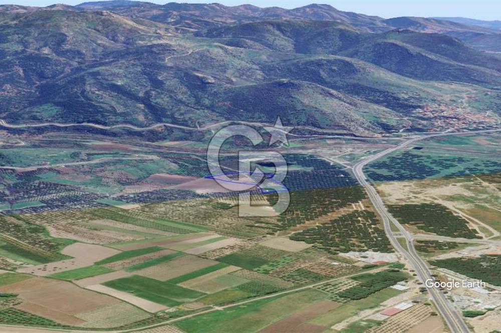 CB KİNG'DEN AYVALIK/ALTINOVA MAHALLESİ SATILIK TARLA/ZEYTİNLİK