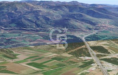 CB KİNG'DEN AYVALIK/ALTINOVA MAHALLESİ SATILIK TARLA/ZEYTİNLİK