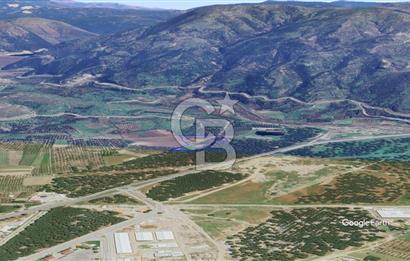 CB KİNG'DEN AYVALIK/ALTINOVA MAHALLESİ SATILIK TARLA/ZEYTİNLİK