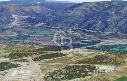 CB KİNG'DEN AYVALIK/ALTINOVA MAHALLESİ SATILIK TARLA/ZEYTİNLİK