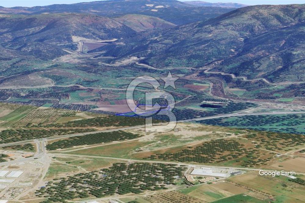 CB KİNG'DEN AYVALIK/ALTINOVA MAHALLESİ SATILIK TARLA/ZEYTİNLİK