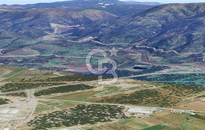 CB KİNG'DEN AYVALIK/ALTINOVA MAHALLESİ SATILIK TARLA/ZEYTİNLİK