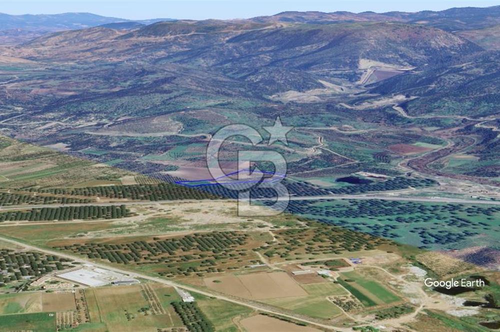CB KİNG'DEN AYVALIK/ALTINOVA MAHALLESİ SATILIK TARLA/ZEYTİNLİK