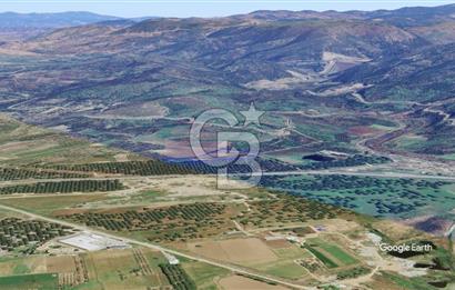 CB KİNG'DEN AYVALIK/ALTINOVA MAHALLESİ SATILIK TARLA/ZEYTİNLİK