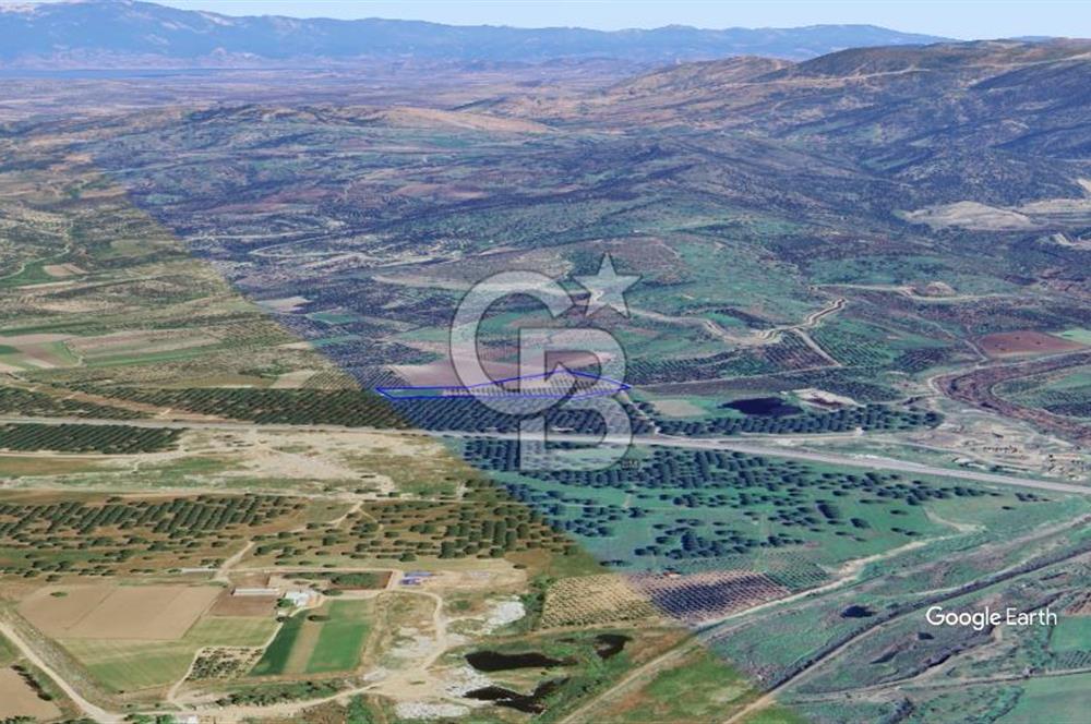 CB KİNG'DEN AYVALIK/ALTINOVA MAHALLESİ SATILIK TARLA/ZEYTİNLİK