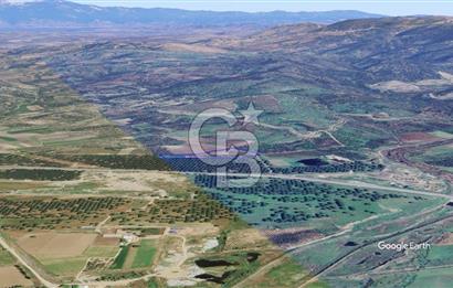 CB KİNG'DEN AYVALIK/ALTINOVA MAHALLESİ SATILIK TARLA/ZEYTİNLİK