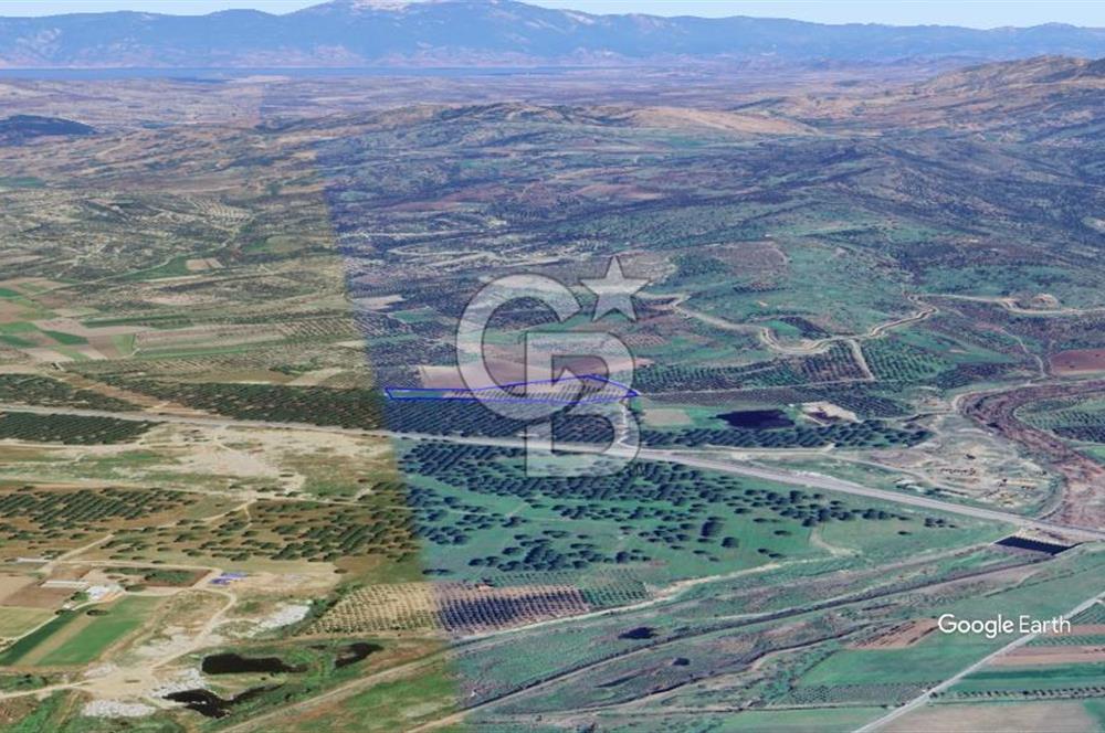 CB KİNG'DEN AYVALIK/ALTINOVA MAHALLESİ SATILIK TARLA/ZEYTİNLİK
