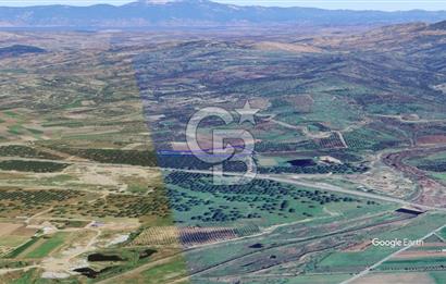 CB KİNG'DEN AYVALIK/ALTINOVA MAHALLESİ SATILIK TARLA/ZEYTİNLİK