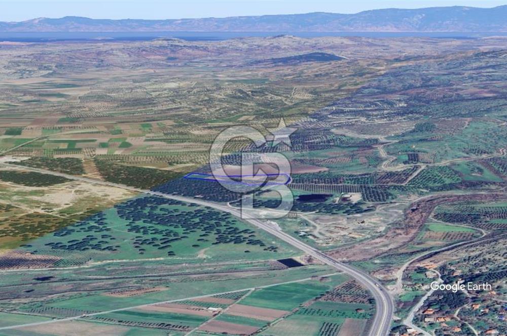 CB KİNG'DEN AYVALIK/ALTINOVA MAHALLESİ SATILIK TARLA/ZEYTİNLİK