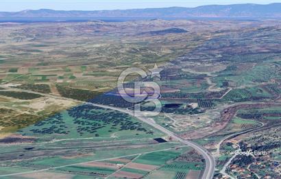 CB KİNG'DEN AYVALIK/ALTINOVA MAHALLESİ SATILIK TARLA/ZEYTİNLİK