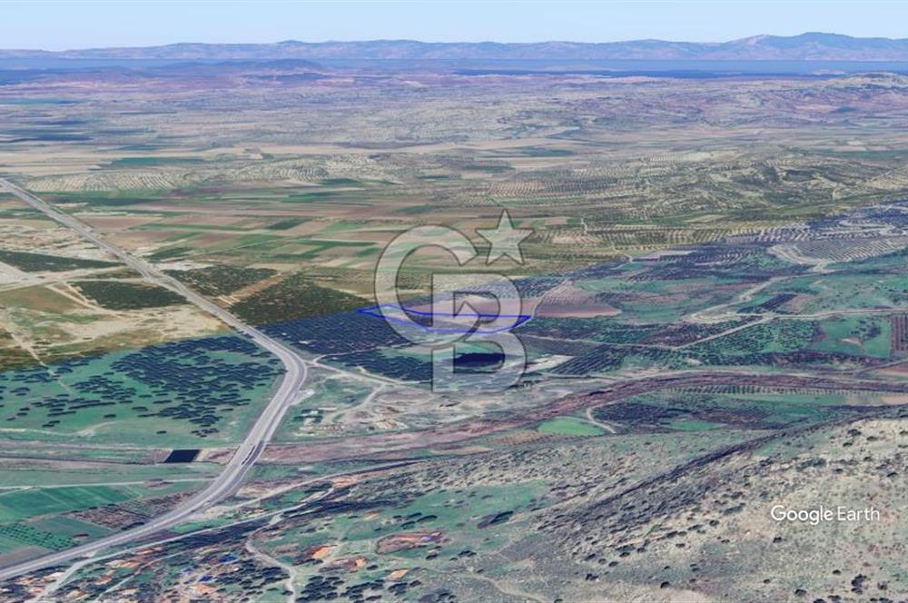 CB KİNG'DEN AYVALIK/ALTINOVA MAHALLESİ SATILIK TARLA/ZEYTİNLİK