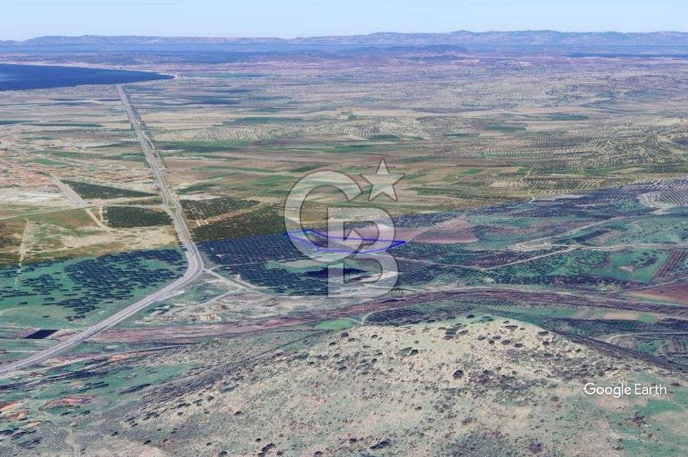 CB KİNG'DEN AYVALIK/ALTINOVA MAHALLESİ SATILIK TARLA/ZEYTİNLİK