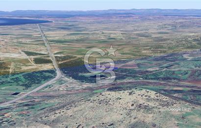 CB KİNG'DEN AYVALIK/ALTINOVA MAHALLESİ SATILIK TARLA/ZEYTİNLİK