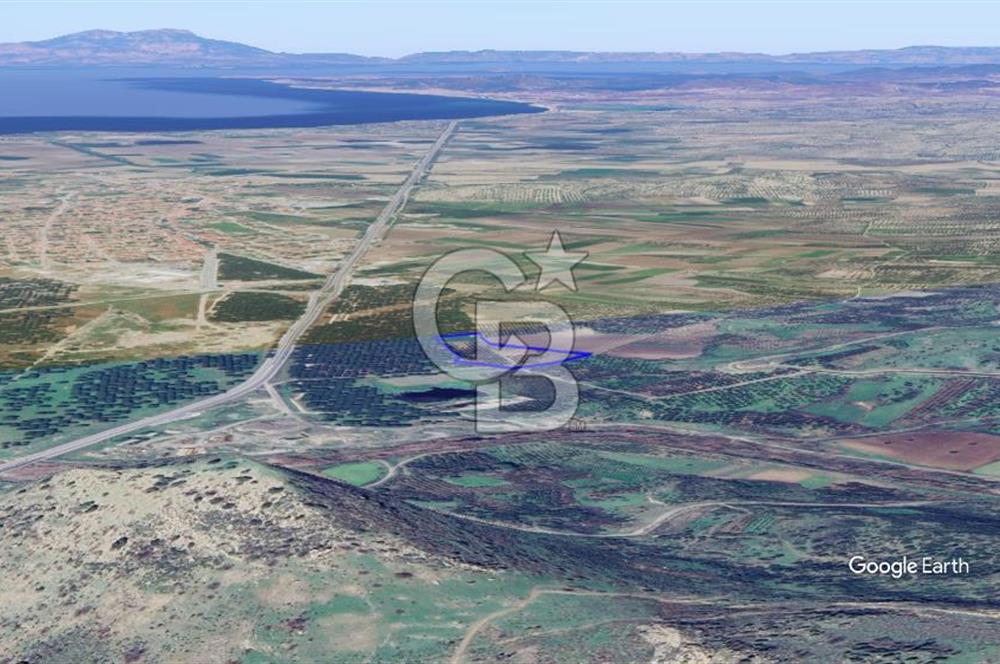 CB KİNG'DEN AYVALIK/ALTINOVA MAHALLESİ SATILIK TARLA/ZEYTİNLİK