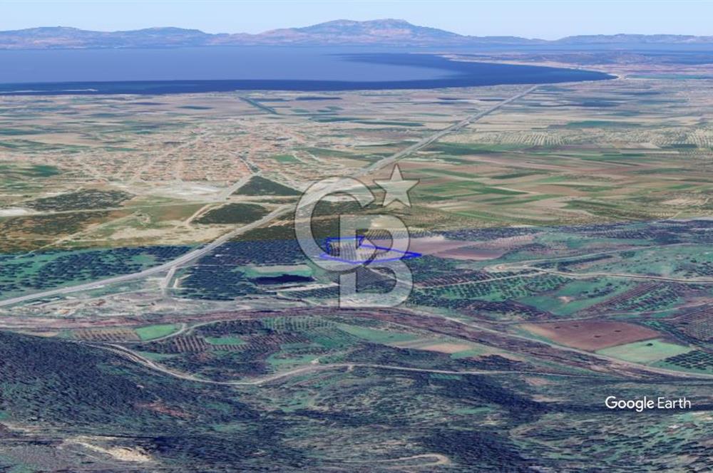 CB KİNG'DEN AYVALIK/ALTINOVA MAHALLESİ SATILIK TARLA/ZEYTİNLİK