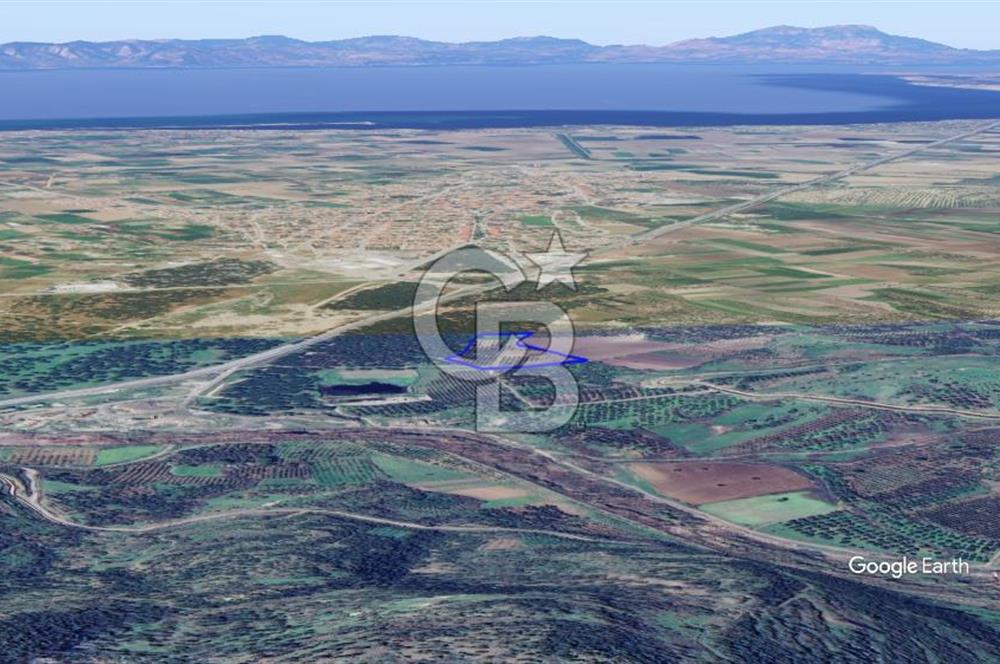 CB KİNG'DEN AYVALIK/ALTINOVA MAHALLESİ SATILIK TARLA/ZEYTİNLİK