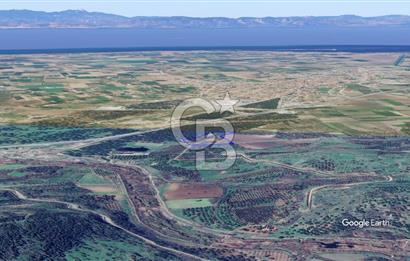 CB KİNG'DEN AYVALIK/ALTINOVA MAHALLESİ SATILIK TARLA/ZEYTİNLİK