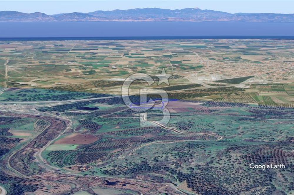 CB KİNG'DEN AYVALIK/ALTINOVA MAHALLESİ SATILIK TARLA/ZEYTİNLİK