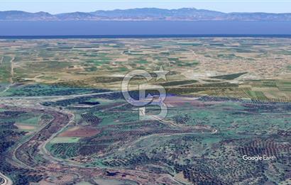 CB KİNG'DEN AYVALIK/ALTINOVA MAHALLESİ SATILIK TARLA/ZEYTİNLİK