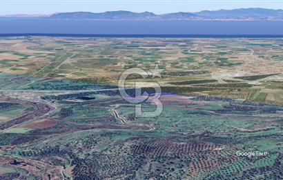 CB KİNG'DEN AYVALIK/ALTINOVA MAHALLESİ SATILIK TARLA/ZEYTİNLİK