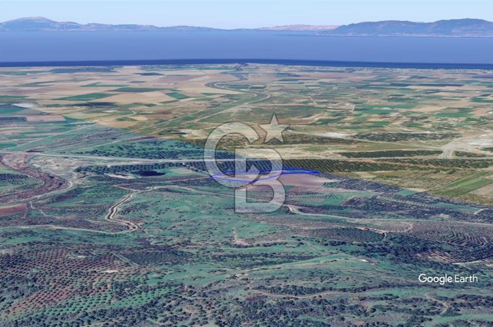 CB KİNG'DEN AYVALIK/ALTINOVA MAHALLESİ SATILIK TARLA/ZEYTİNLİK