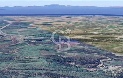 CB KİNG'DEN AYVALIK/ALTINOVA MAHALLESİ SATILIK TARLA/ZEYTİNLİK