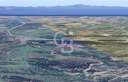 CB KİNG'DEN AYVALIK/ALTINOVA MAHALLESİ SATILIK TARLA/ZEYTİNLİK