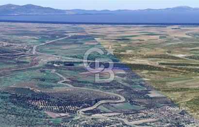 CB KİNG'DEN AYVALIK/ALTINOVA MAHALLESİ SATILIK TARLA/ZEYTİNLİK