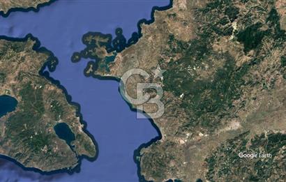 CB KİNG'DEN AYVALIK/ALTINOVA MAHALLESİ SATILIK TARLA/ZEYTİNLİK