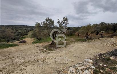 FOÇA GERENKÖY’DE 584 m² SATILIK TARLA 