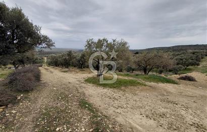 FOÇA GERENKÖY’DE 584 m² SATILIK TARLA 