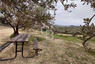 FOÇA GERENKÖY’DE 584 m² SATILIK TARLA  - 5 - 332292