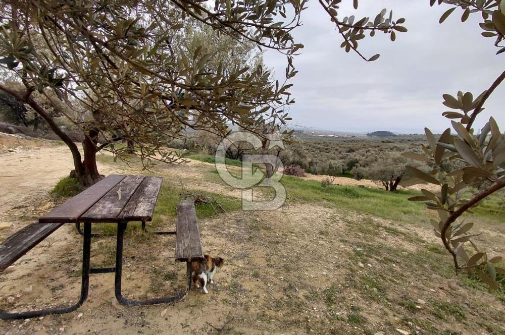 FOÇA GERENKÖY’DE 584 m² SATILIK TARLA 