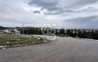 CB AKADEMİ KABAOĞLU KİRALIK 1+1 EŞYALI GENİŞ DAİRE