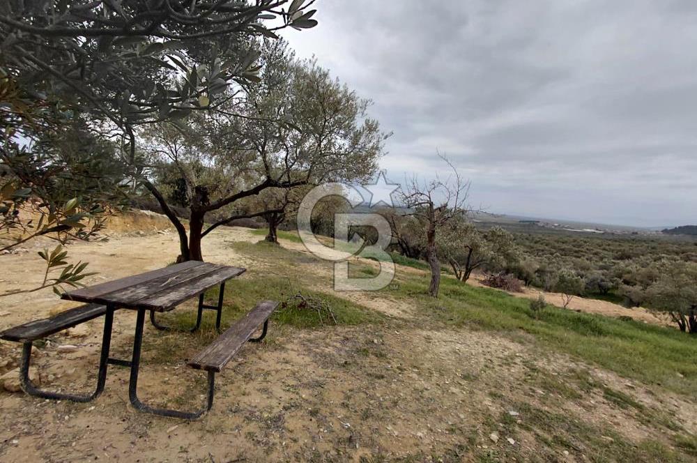 FOÇA GERENKÖY’DE 584 m² SATILIK TARLA 