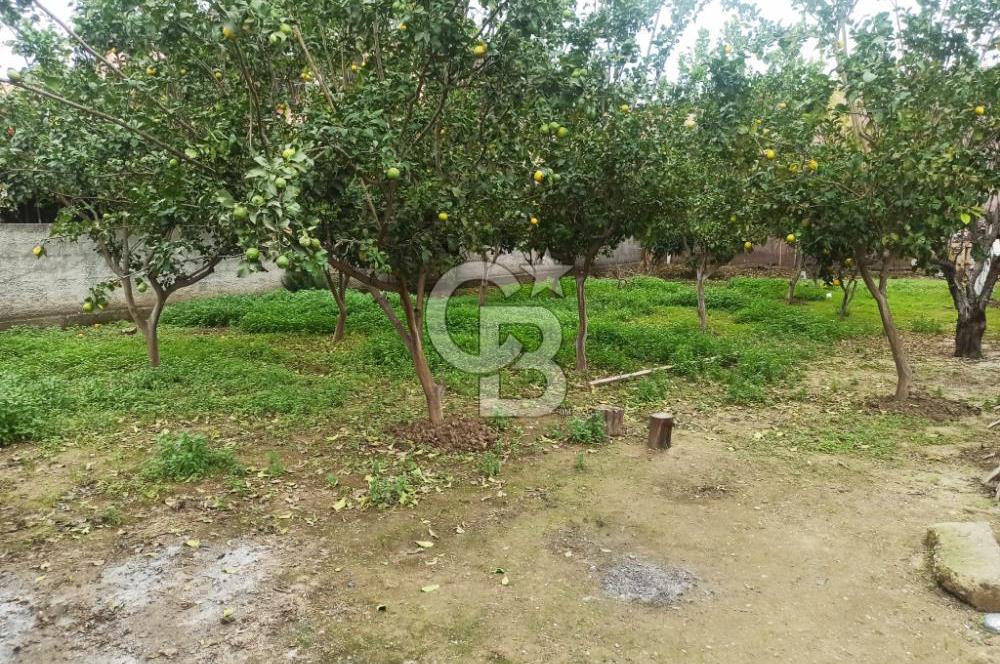 Adana Seyhan Mıdık'ta Satılık Bahçeli Müstakil 3 Katlı Ev