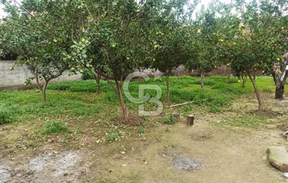 Adana Seyhan Mıdık'ta Satılık Bahçeli Müstakil 3 Katlı Ev