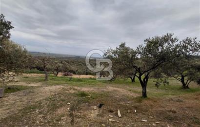 FOÇA GERENKÖY’DE 584 m² SATILIK TARLA 