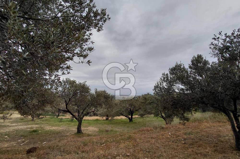 FOÇA GERENKÖY’DE 584 m² SATILIK TARLA 