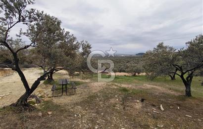 FOÇA GERENKÖY’DE 584 m² SATILIK TARLA 