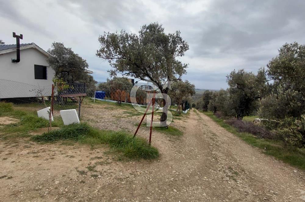 FOÇA GERENKÖY’DE 584 m² SATILIK TARLA 