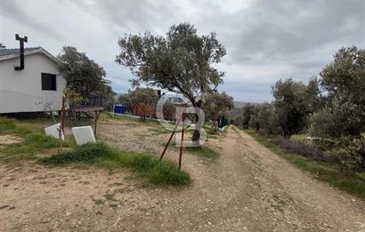 FOÇA GERENKÖY’DE 584 m² SATILIK TARLA 