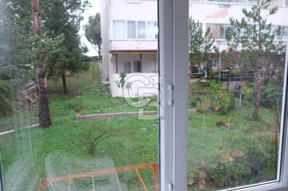 YALOVA ÇINARCIK KORUKÖY DE SİTE İÇİRSİNDE EŞYALI VİLLA